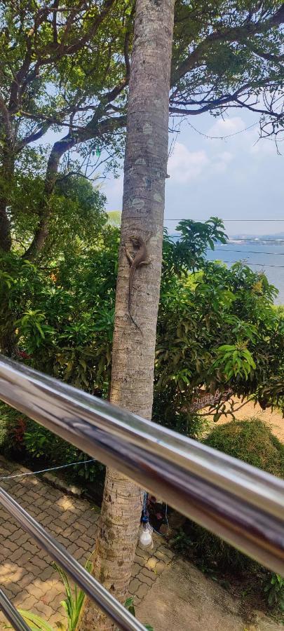 Jungle Beach Restaurant And Hotel-Jbr Galle Exterior photo